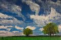 acrylique_0091 (soldout)